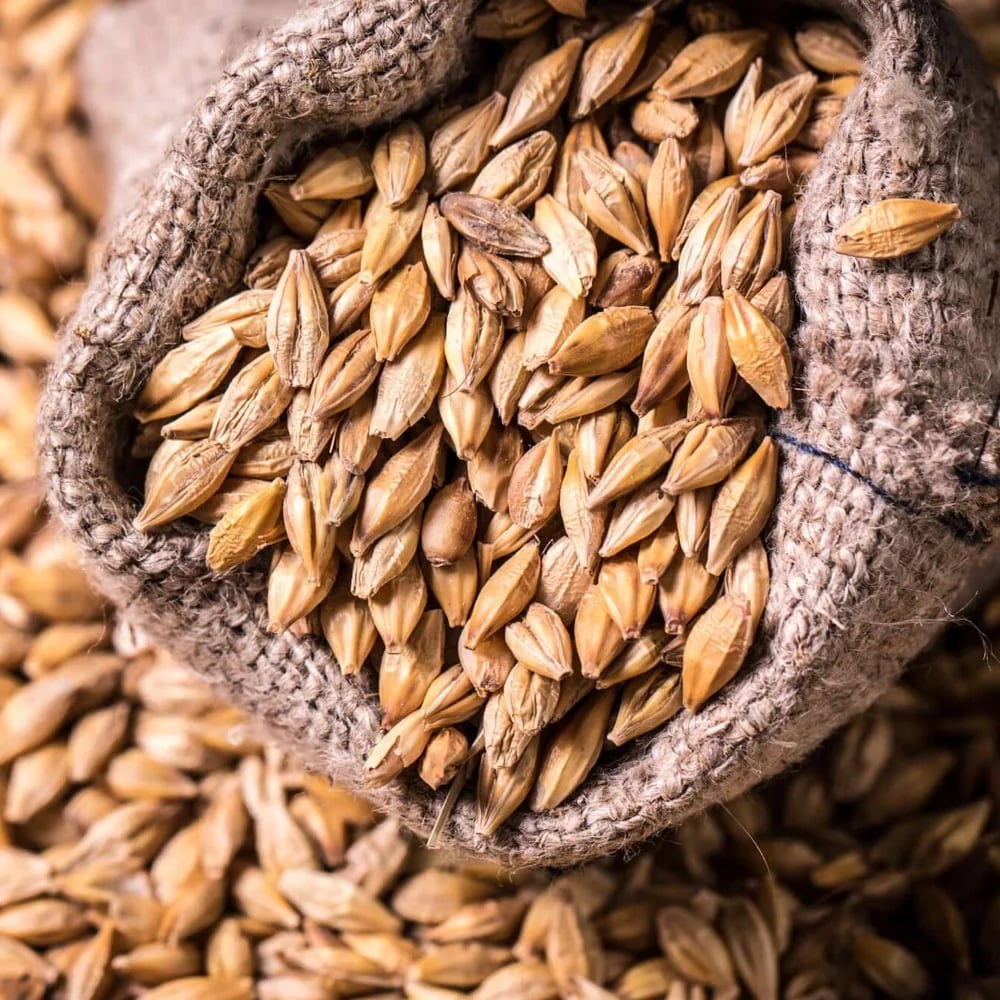 The Grain Over Sands Shopify store for a Cumbrian brewing supplies brand